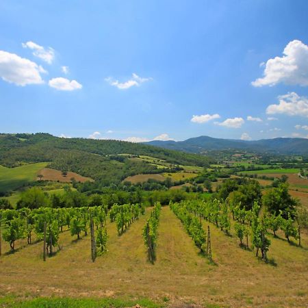 Holiday Home Montebello By Interhome Monterchi Ngoại thất bức ảnh